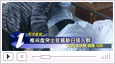 <b>锦州新闻夜班车：椎间盘突出威胁白领</b>