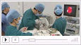 <b>锦州电视台：微创治疗腰椎间盘突出症的优势</b>