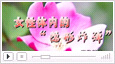 <b>宫颈糜烂女性体内的“隐形炸弹”</b>